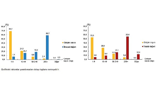 Hizmet ihracatının yüzde 58,7'sini, hizmet ithalatının yüzde 55,4'ünü büyük ölçekli girişimler yaptı