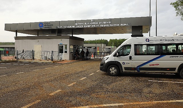 Büyükşehir'den can dostlara modern bakım ev hizmeti