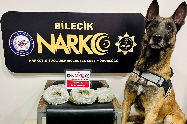 Bilecik'te zehir tacirlerine geçit yok