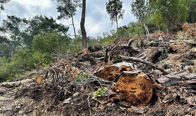 Başkan Topaloğlu: “Doğamızın göz göre göre katledilmesine seyirci kalmayacağız."