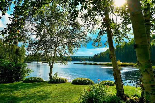 Bakan Yumaklı, Dünya Biyolojik Çeşitlilik Günü'nü kutladı