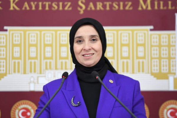 DEVA Partili Esen, Almanya Çalışma ve Sosyal İşler Bakan Yardımcısı Kramme ile görüştü