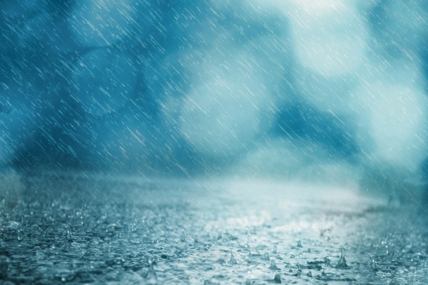 Doğu Anadolu'nun kuzeyinde kuvvetli yağış bekleniyor