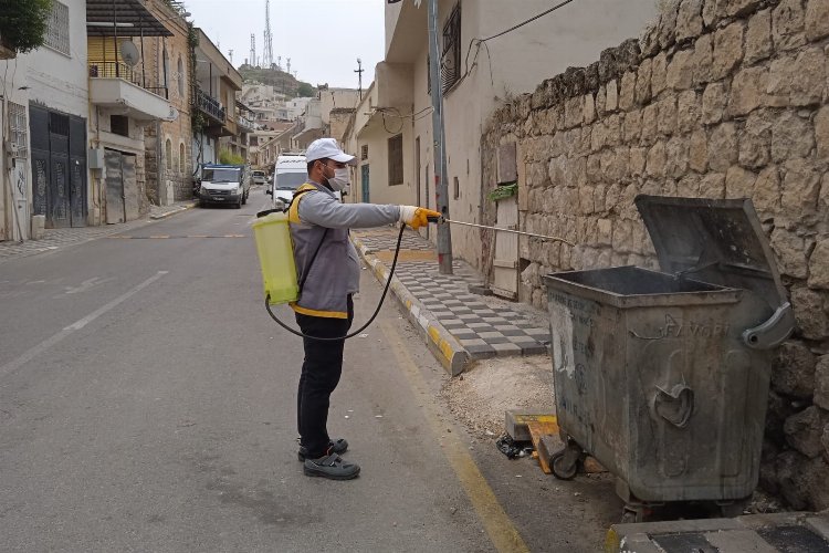 Mardin'de ilaçlama çalışmaları sürüyor