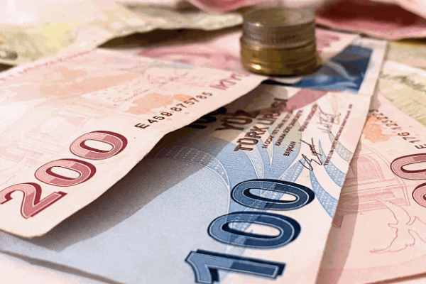 5 TL'lik madeni para tedavüle çıkıyor