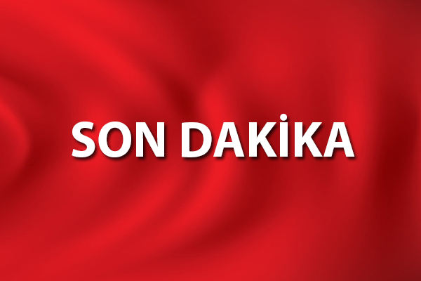 Hakkari Belediyesi Eş Başkanı Akış, Van'da gözaltına alındı