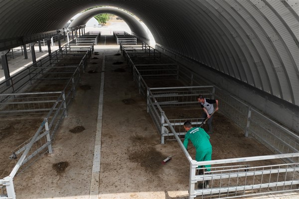 Balıkesir'de hayvan pazarı, kurbanlıklar için hazırlandı