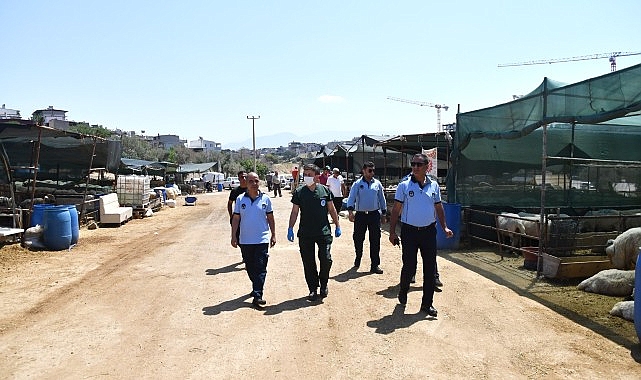 Karabağlar'da Kurban Bayramı öncesi sıkı denetim
