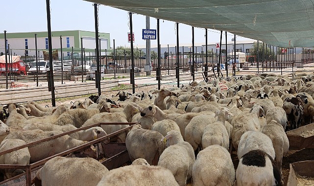 Selçuklu Belediyesi vatandaşların Kurban Bayramı'nı rahat ve huzurlu bir şekilde geçirmesi için tüm hazırlıkları tamamladı
