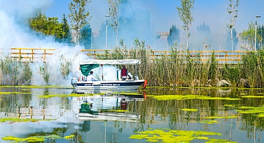 Ankara'da vektörlerle mücadele çalışmaları devam ediyor