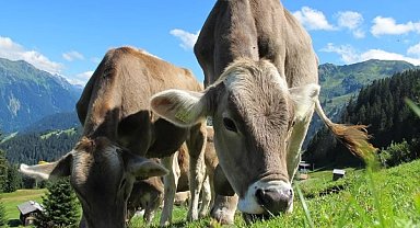 Bakan Yumaklı: Üretimin ve üretenin her daim destekçisi olmayı sürdüreceğiz
