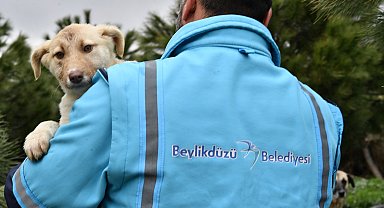 Başkan Çalık: Öldürmekten yana değil, yaşatmaktan yana tavır alacağız