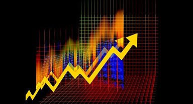 BMD Araştırma: Dolar/TL’nin 2024 sonunda 37,37 olması öngörülüyor