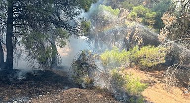 Gaziantep’teki orman yangınına 350 personel ve 127 araçla müdahale edildi