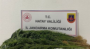 Hatay’da uyuşturucu ve kaçakçılık operasyonu