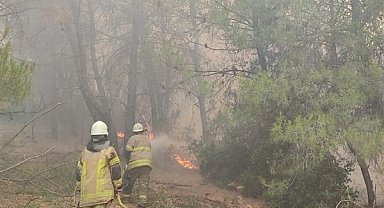 İzmir'de 4 ilçede yangın devam ediyor