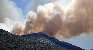 İzmir'in Dikili ilçesinde orman yangını