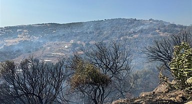 İzmir İtfaiyesi, Dikili'de orman yangınına müdahale ediyor