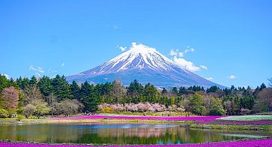 Japonya'daki işletmeler, turistlerden daha fazla ücret almayı düşünüyor