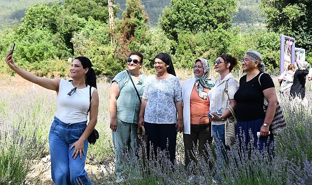 Kemer'de lavanta tanıtım etkinlikleri devam ediyor