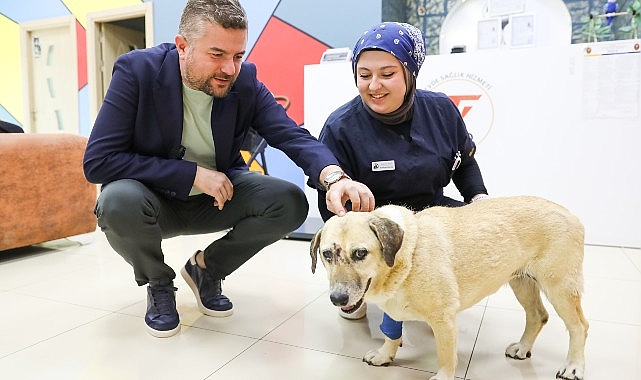 Saldırıya uğrayan can dostuna Buca Belediye Başkanı Duman'dan ziyaret