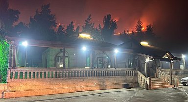 Şanlıurfa'daki orman yangını kontrol altına alındı