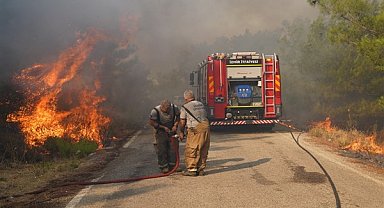 Urla'da çıkan yangına müdahale sürüyor