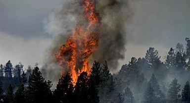 AKUT Çanakkale ekibi, Gelibolu'daki yangın için operasyona çıktı
