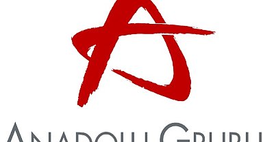 Anadolu Grubu'nun ilk 6 aylık performansı