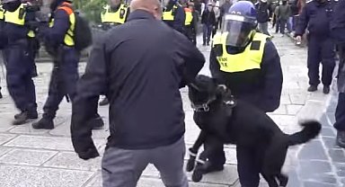 Anket: Her dört Britanyalıdan üçü aşırı sağ konusunda endişeli