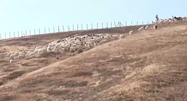 Aşırı sıcaklar ve yağmur yağmaması nedeniyle Sicilya adası çölleşiyor
