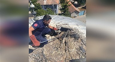 Balıkesir'deki yaralı leylek kurtarıldı