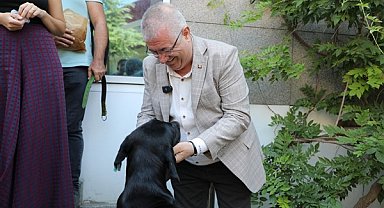 Başkan Ertaş, sokak köpeği sahiplendi