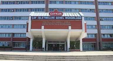 ÇAYKUR, yaş çayda serbest alımlara başlıyor