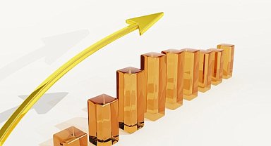 E-Data'da sermaye artırımı kararı