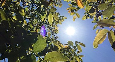 Hava sıcaklığı ülke genelinde mevsim normalleri civarında seyredecek