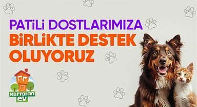 Hepsiburada, Dünya Köpek Günü’nde Patili Dostlara Destek sayfasını açıyor