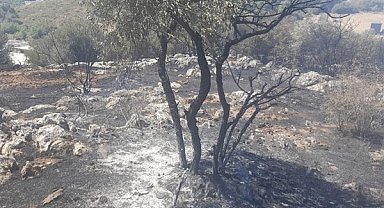 İzmir’de yangın fabrikalara ulaşmadan kontrol altına alındı