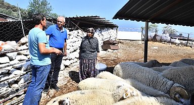 İzmir'deki yangında meraları zarar gören çiftçilere 4 ton yem desteği verildi
