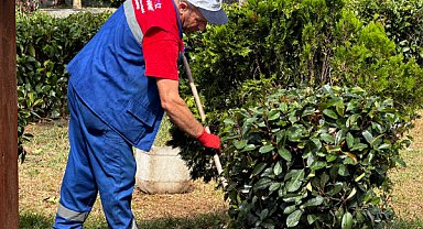Kağıthane'de peyzaj çalışmaları devam ediyor