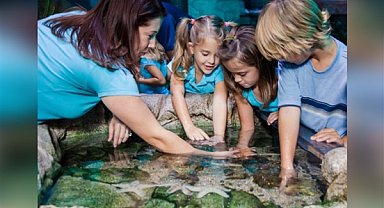 Legoland, Sea Life ve Madame Tussauds’dan yaz kampanyası