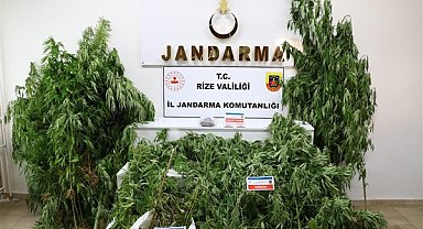 Rize'de uyuşturucu operasyonu