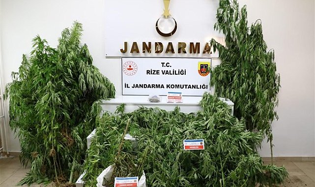 Rize'de uyuşturucu operasyonu