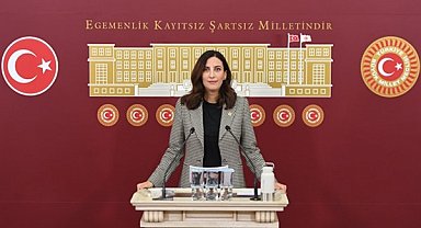 Rızvanoğlu: Hasandin Yaylası acilen korunmalı