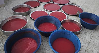 Şanlıurfa'da domates salçası damda yerini aldı