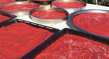 Şanlıurfa’da salça sezonu açıldı