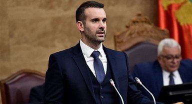 Spajic, olimpiyatlarda altın madalya kazanan tenisçi Djokovic'i tebrik etti