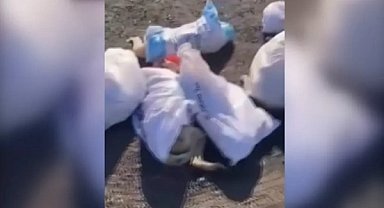 Uzunköprü'de çöplükte ölü köpekler bulundu