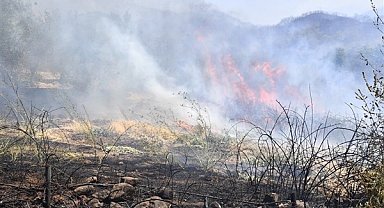 Yamanlar Dağı’nda çıkan yangınla mücadele sürüyor