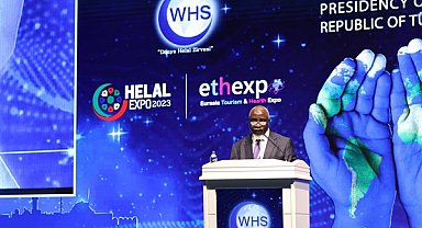 Afrika: Keşfedilmeye açık ekonomik mücevher